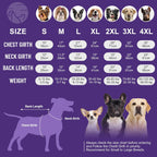 Soft stretchable winter knitwear for small breeds back coverage view