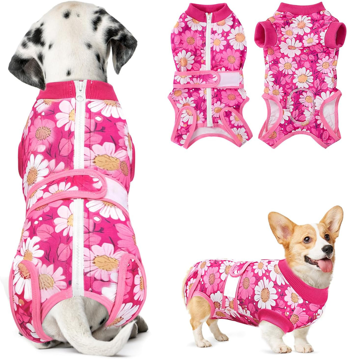 Nasjac dog surgery recovery suit front view daisy print cone alternative.