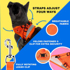 The Fat Cat small orange cat harness displayed flat showing breathable mesh material