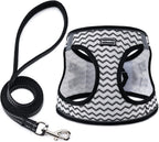BOOMIBOO extra small cat and dog harness triple layer security overview