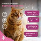 Natural plant based health supplement for restless cats suffering from weight loss.