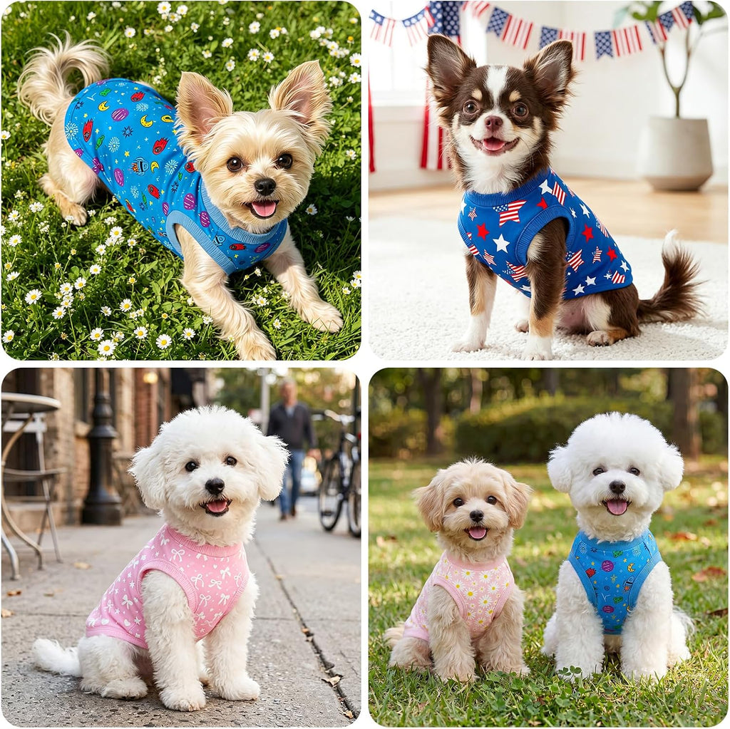 Small breed dog in comfortable patriotic holiday apparel