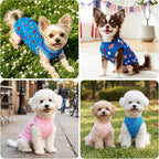 Small breed dog in comfortable patriotic holiday apparel