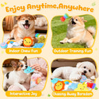 Sun and cloud shaped puppy squeak toys for active play