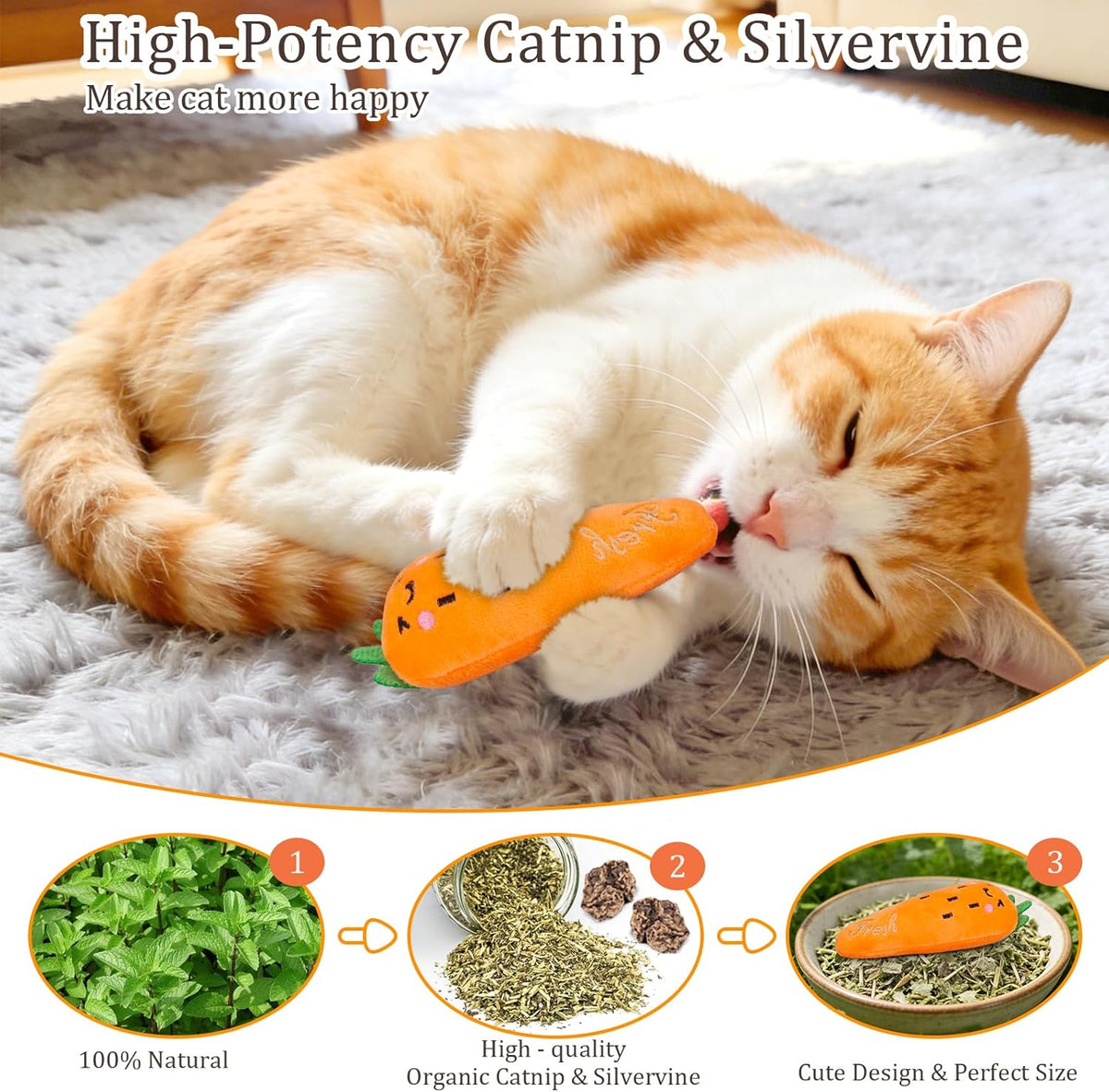 Etekyer catnip carrot toy for indoor cats