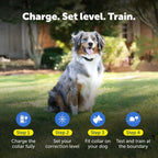 PetSafe YardMax extra collar package contents including rechargeable battery receiver and strap