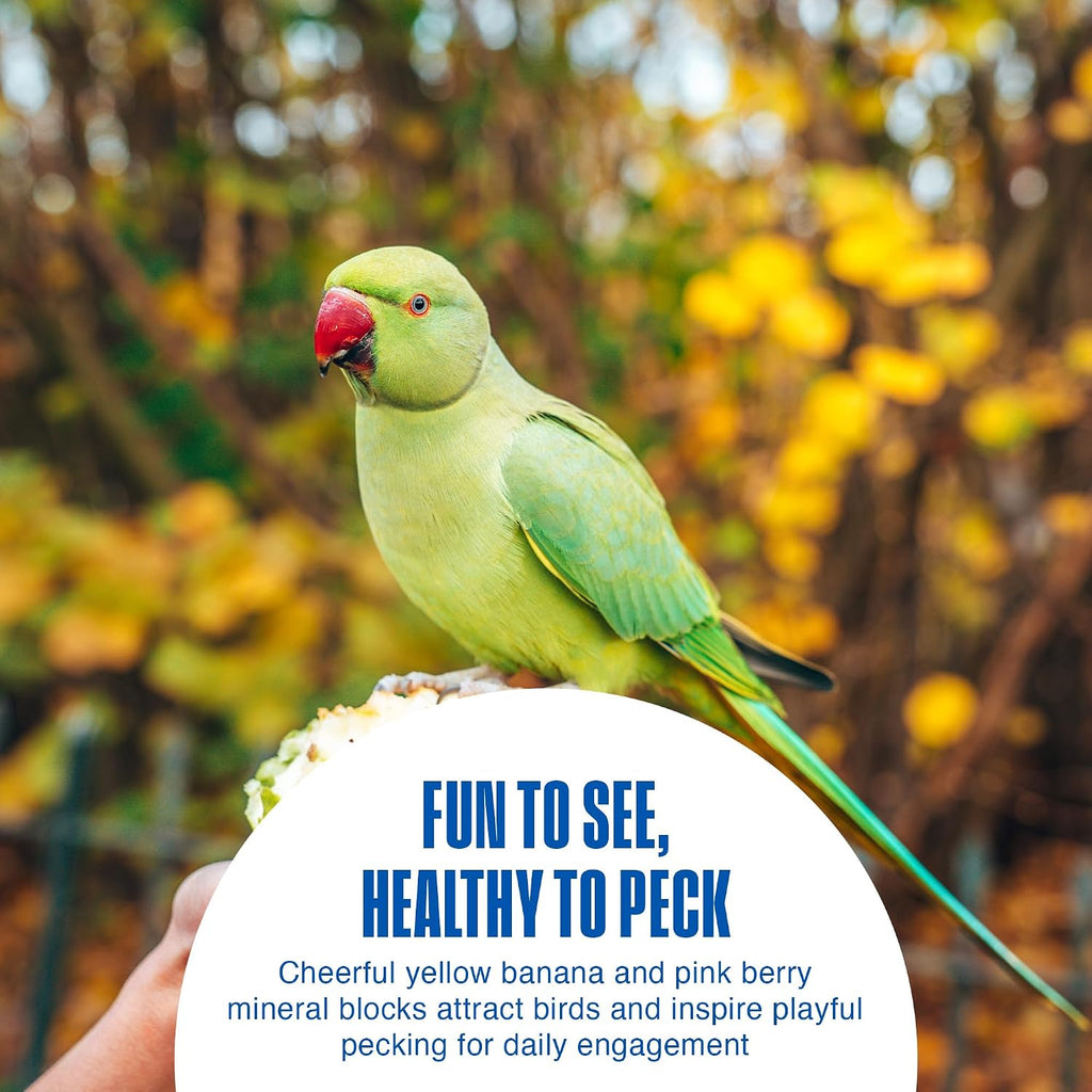 Penn-Plax bird cuttlebone with cage attachment clip