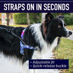 Reflective detail on Leash Boss dog harness for safety