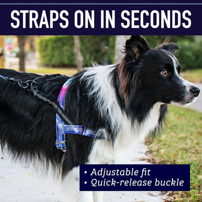 Reflective detail on Leash Boss dog harness for safety