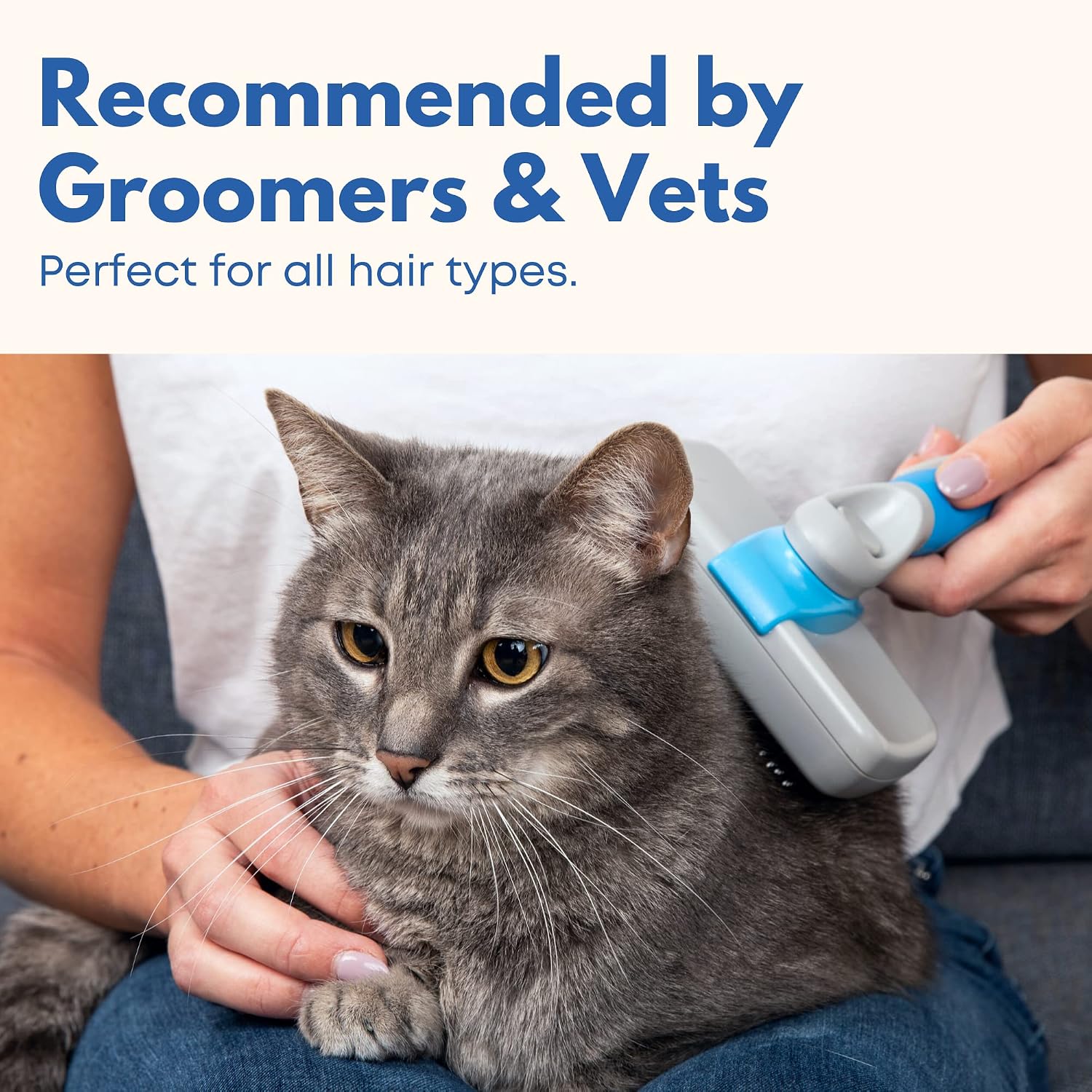 Freshly Bailey self cleaning slicker brush being used on a long haired cat