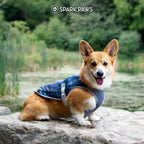 Dog model wearing size large Spark Paws cooling vest