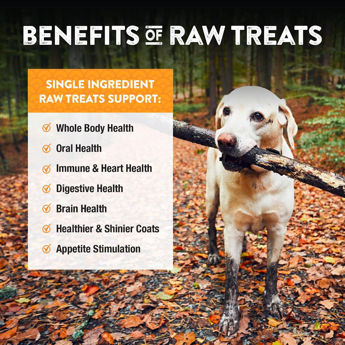 Back of Northwest Naturals freeze dried turkey neck pet treat package