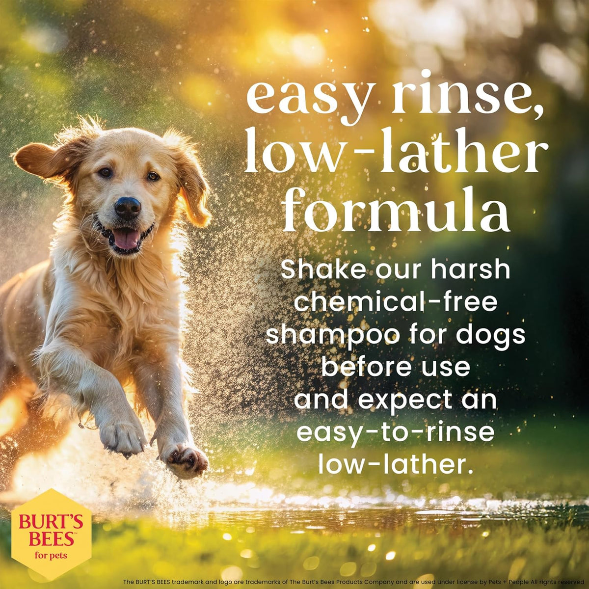 Burt's Bees for Pets shampoo bottle highlighting honey and oat ingredients