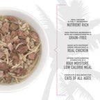 Serving suggestion of wet cat food in a ceramic bowl