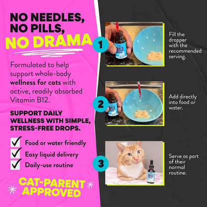 USA imported premium cat health supplement bottle with measuring dropper.