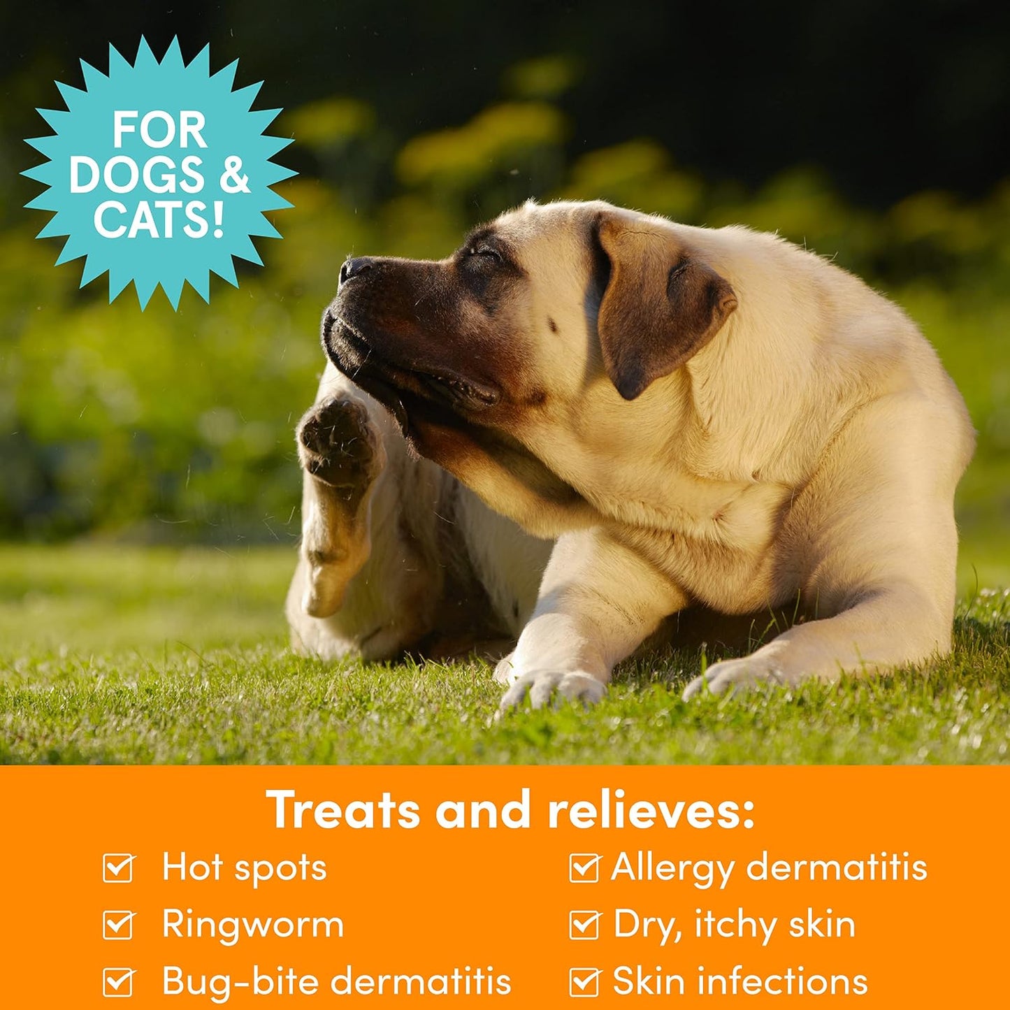 Back label of Nootie Medicated Pet Spray showing active ingredients