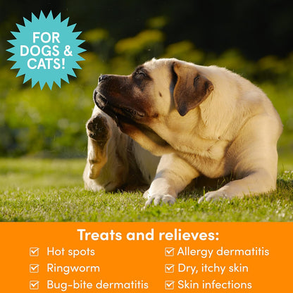Back label of Nootie Medicated Pet Spray showing active ingredients
