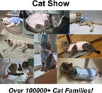 QIYADIN cat pajamas alternative to e-collar for skin disease protection