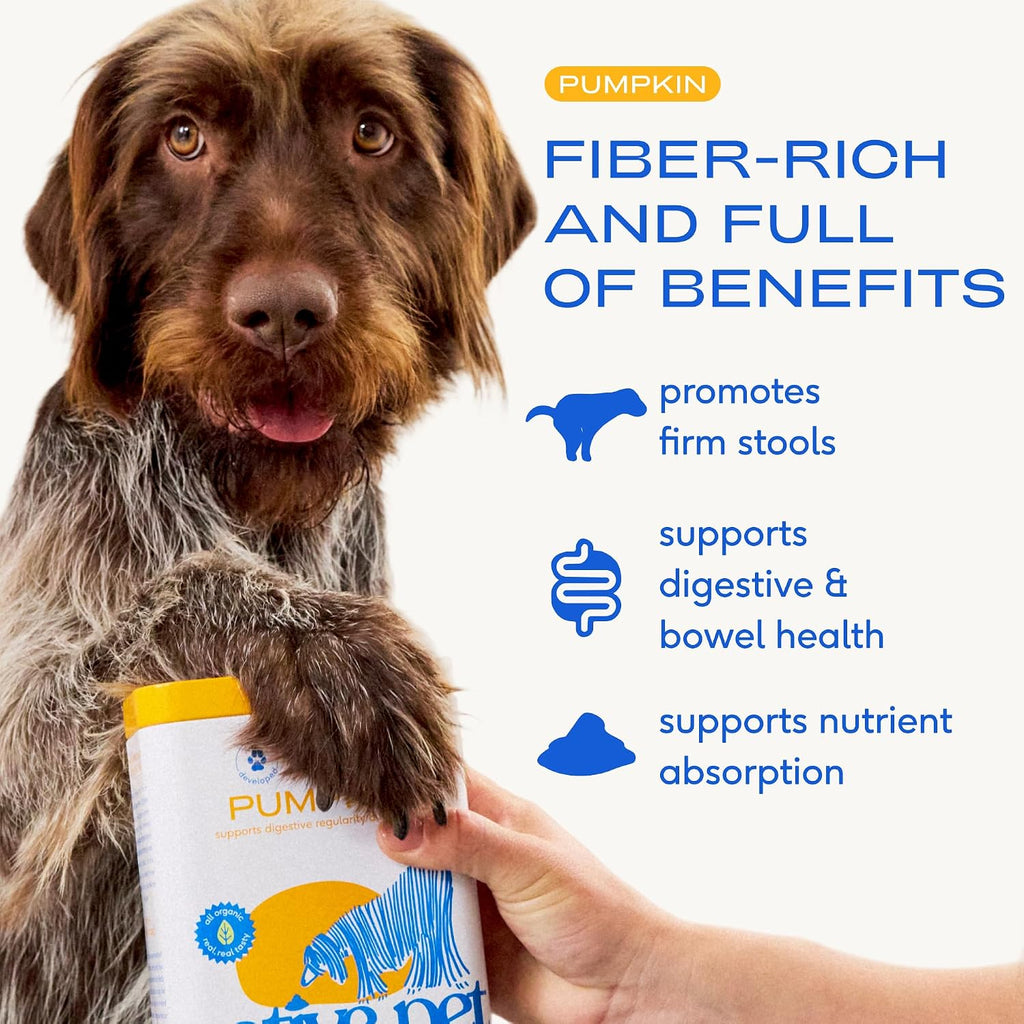 Native Pet pumpkin supplement powder canister with 30 scoops label