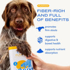 Native Pet pumpkin supplement powder canister with 30 scoops label