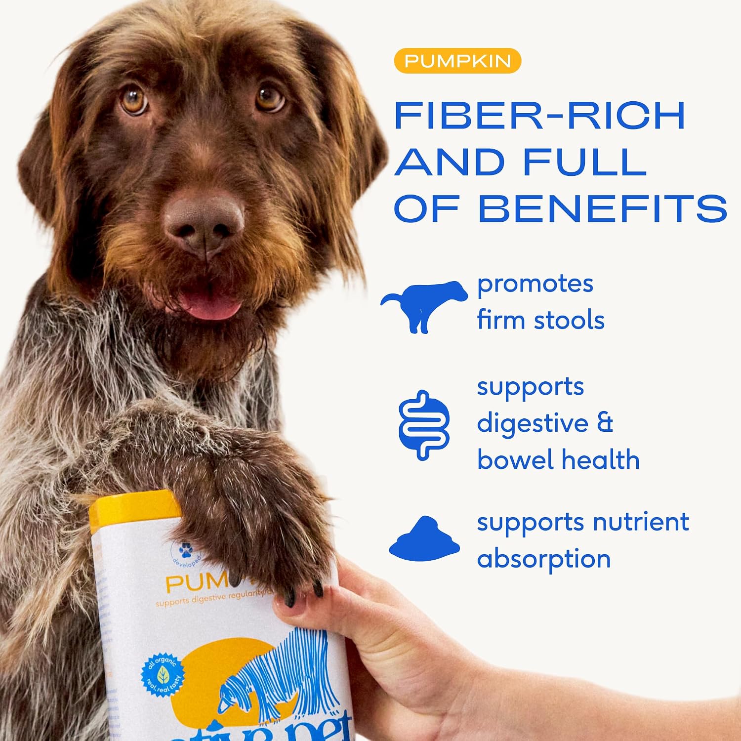 Native Pet pumpkin supplement powder canister with 30 scoops label