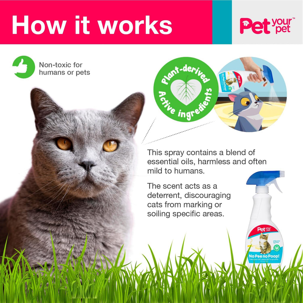 Sixteen fluid ounces cat scent corrector spray for indoor marking prevention