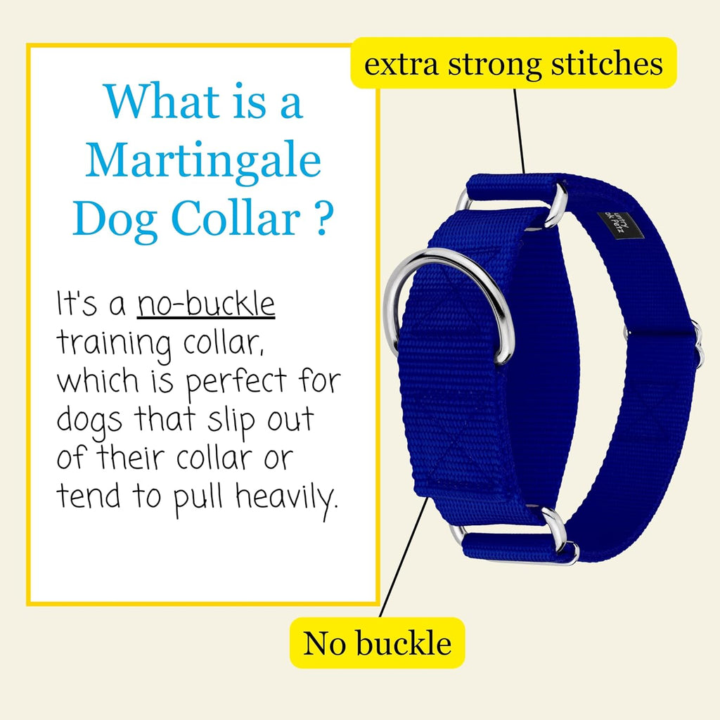 Wide one and a half inch royal blue service dog collar detailing