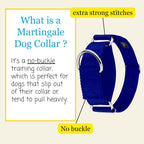 Wide one and a half inch royal blue service dog collar detailing