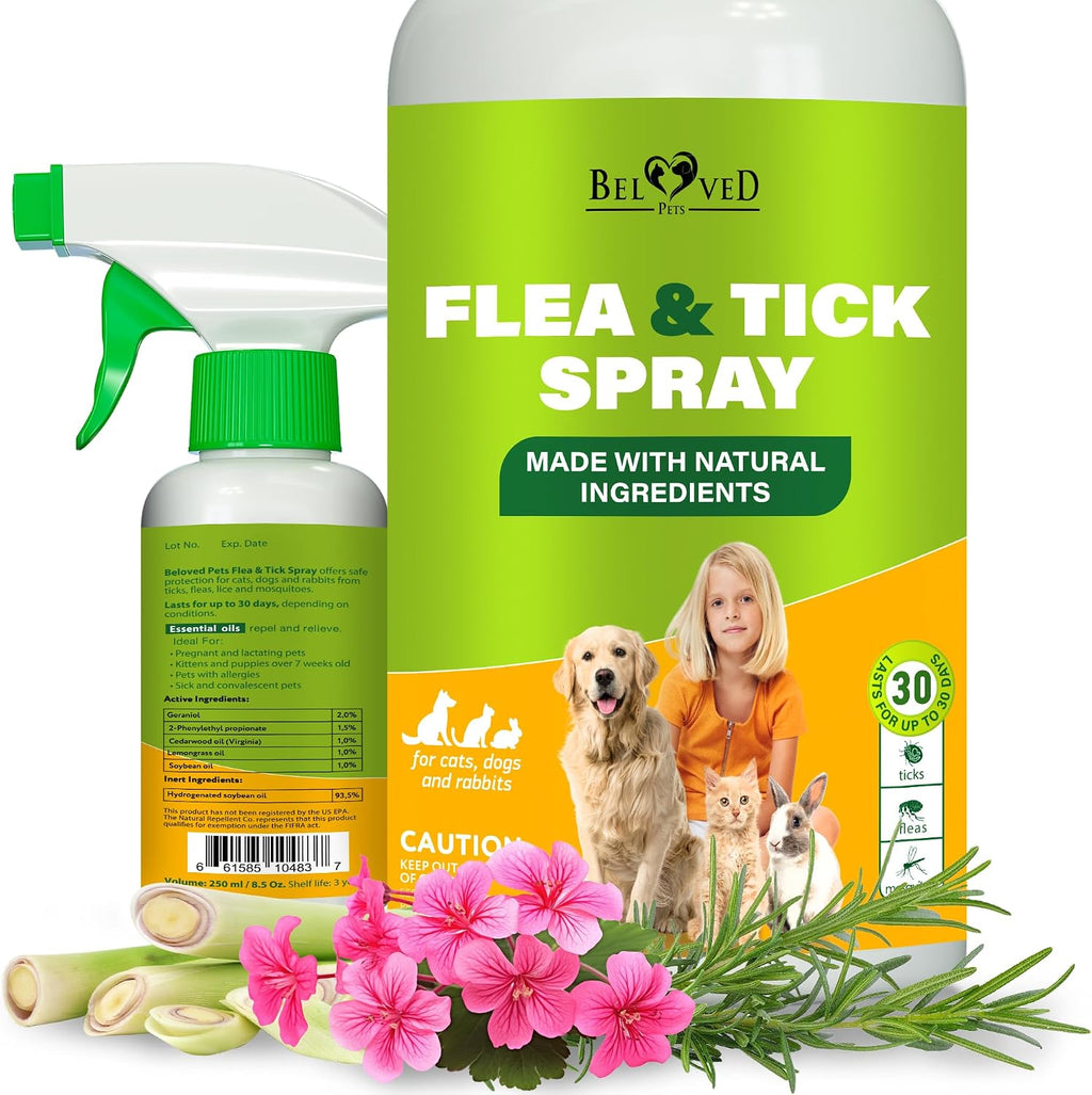 Beloved Pets natural flea and tick home spray bottle front view