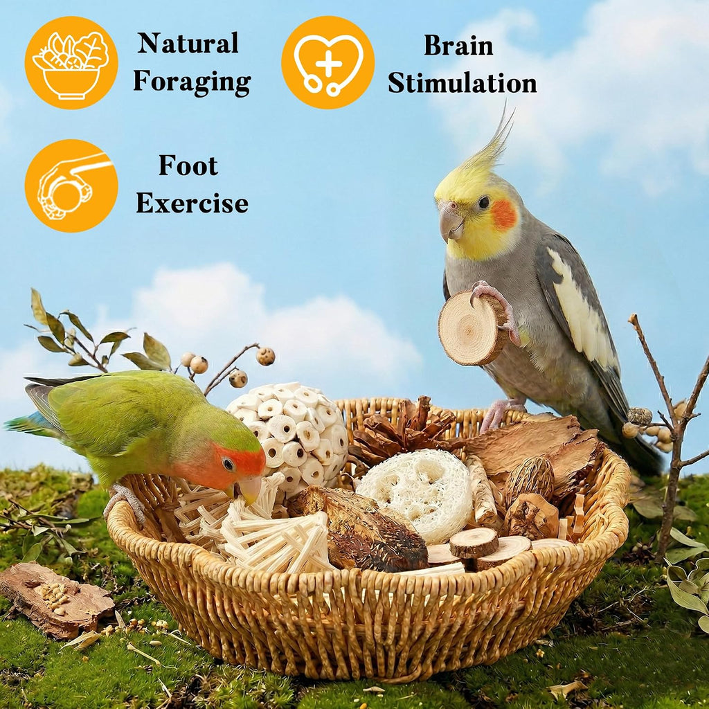Jevnd bird chew toys hanging inside parakeet cage setup