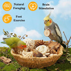 Jevnd bird chew toys hanging inside parakeet cage setup