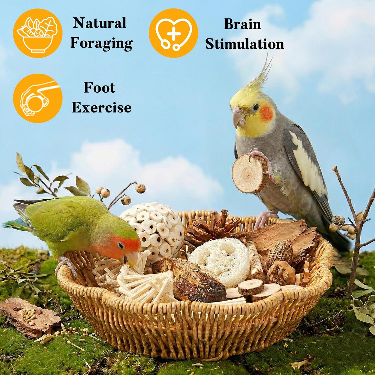 Jevnd bird chew toys hanging inside parakeet cage setup