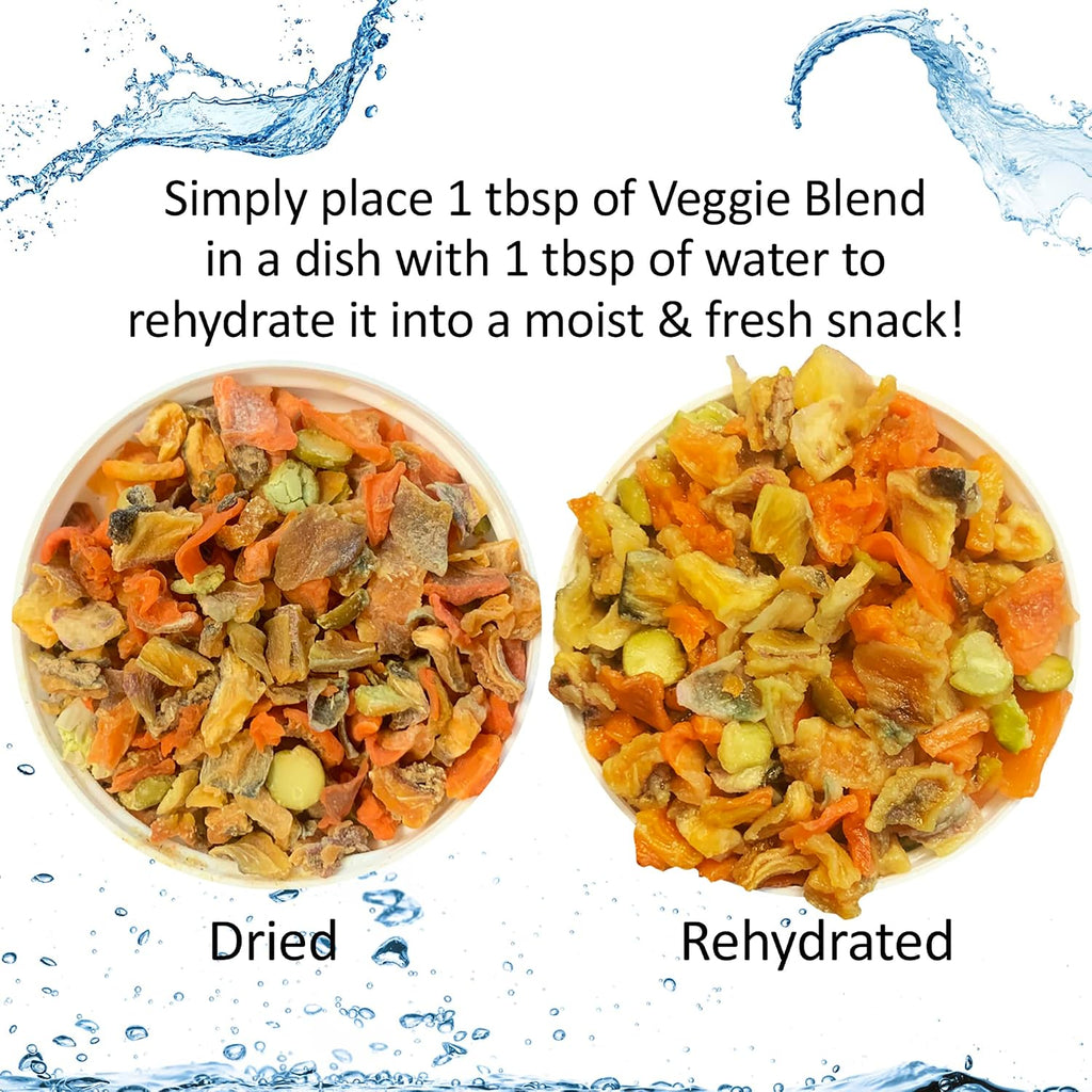 Small pet enjoying natural vegetable treat from bowl
