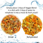 Small pet enjoying natural vegetable treat from bowl