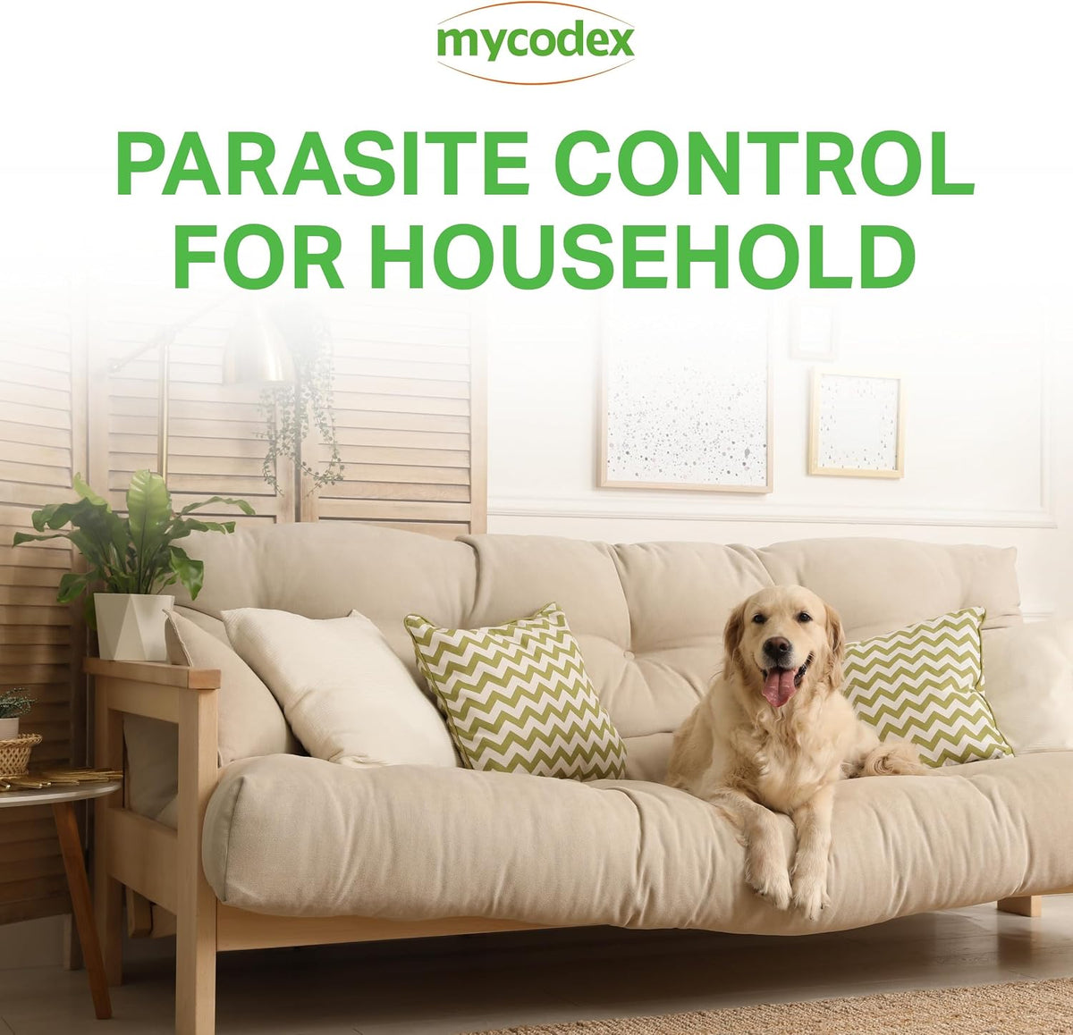 Back label of PRN Pharmacal Mycodex Plus detailing active ingredients