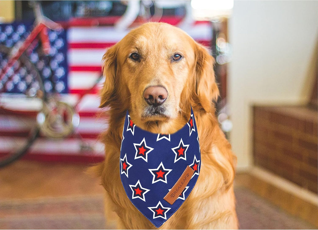 Side view of Realeaf american flag dog apparel emphasizing the lightweight breathable material.