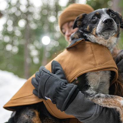 Close up of triple-needle stitching on Carhartt canvas dog coat