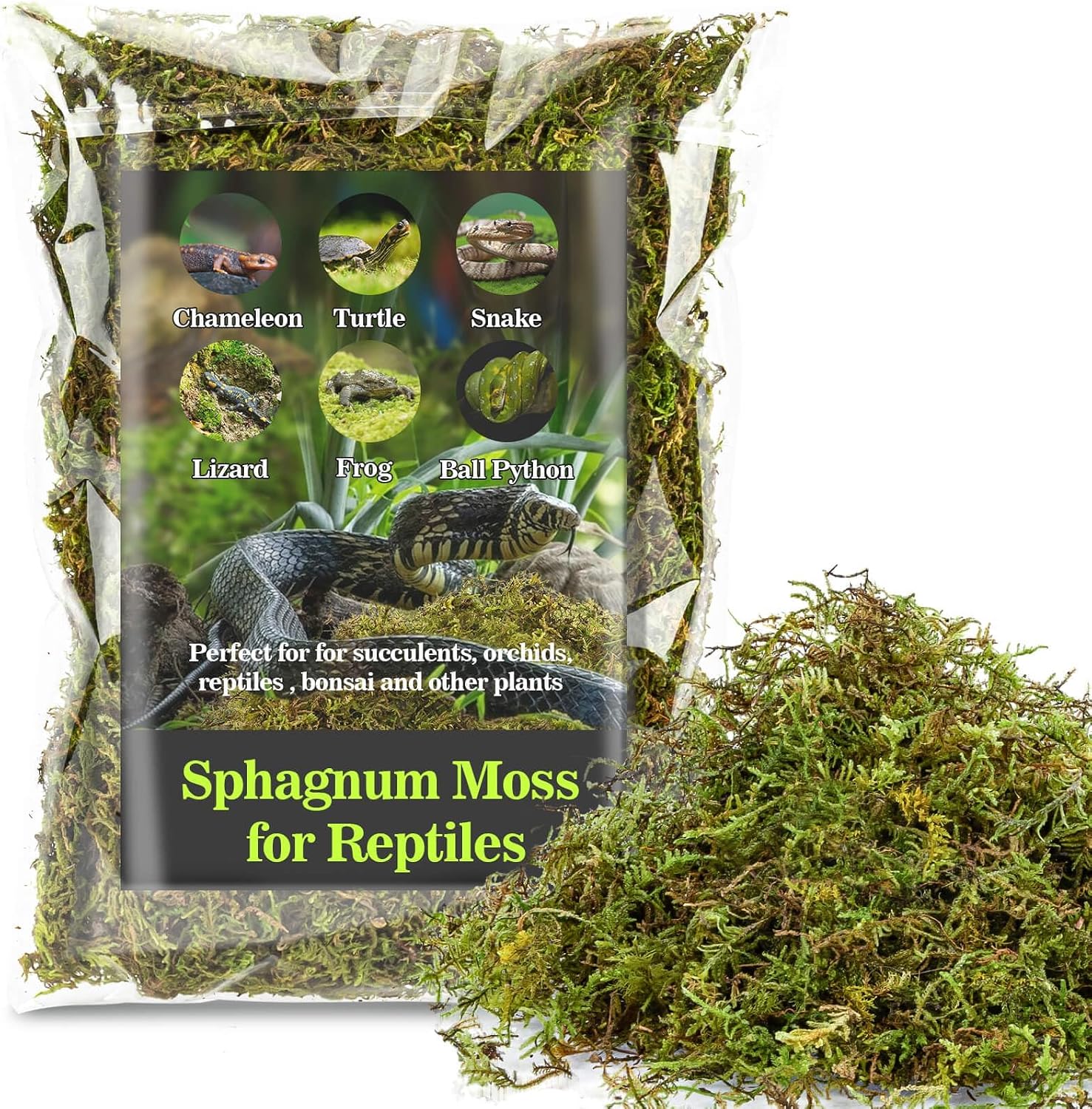 Sukh Sphagnum Moss for Reptiles - Terrarium Reptiles Moss Green Dried Peat Moss Habitat Bedding Moss for Snakes Turtle Frog Gecko and Other Reptiles Substrate (5, Ounces) - Image 11