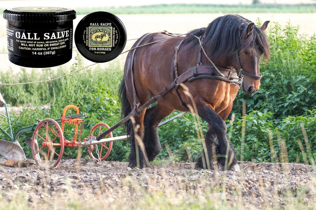 Bickmore equine antiseptic ointment packaging angle