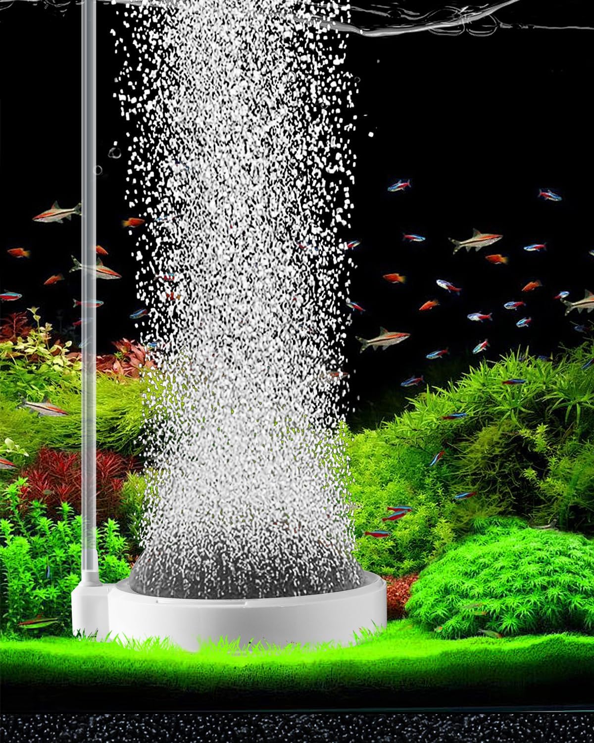 BLOTFISH convex air stone aquarium bubbler front view showcasing the white nanobubble diffuser disk.