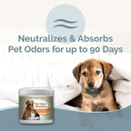 Smells BEGONE Citrus Scent fifteen ounce jars for litter boxes