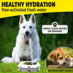 Dog using Trio Gato paw activated water dispenser