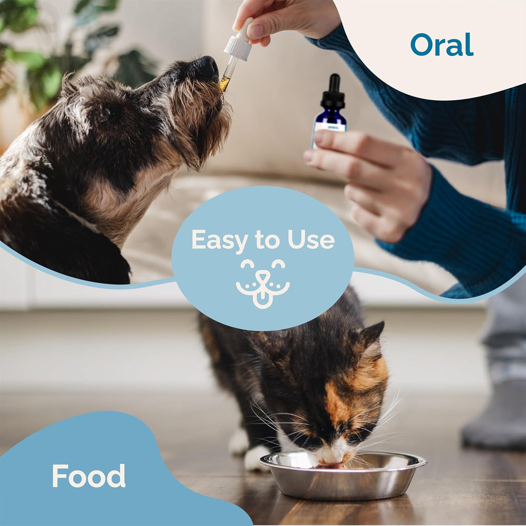 PranaPets pet wellness product lifestyle display
