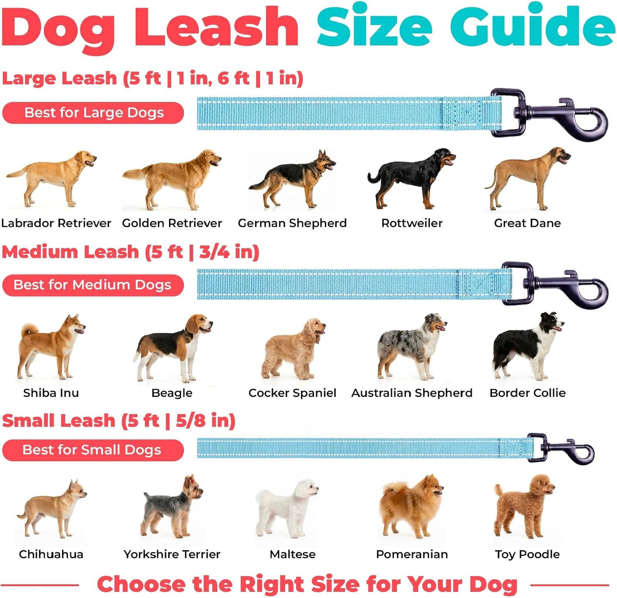Durable baby blue nylon pet lead for walking and running.