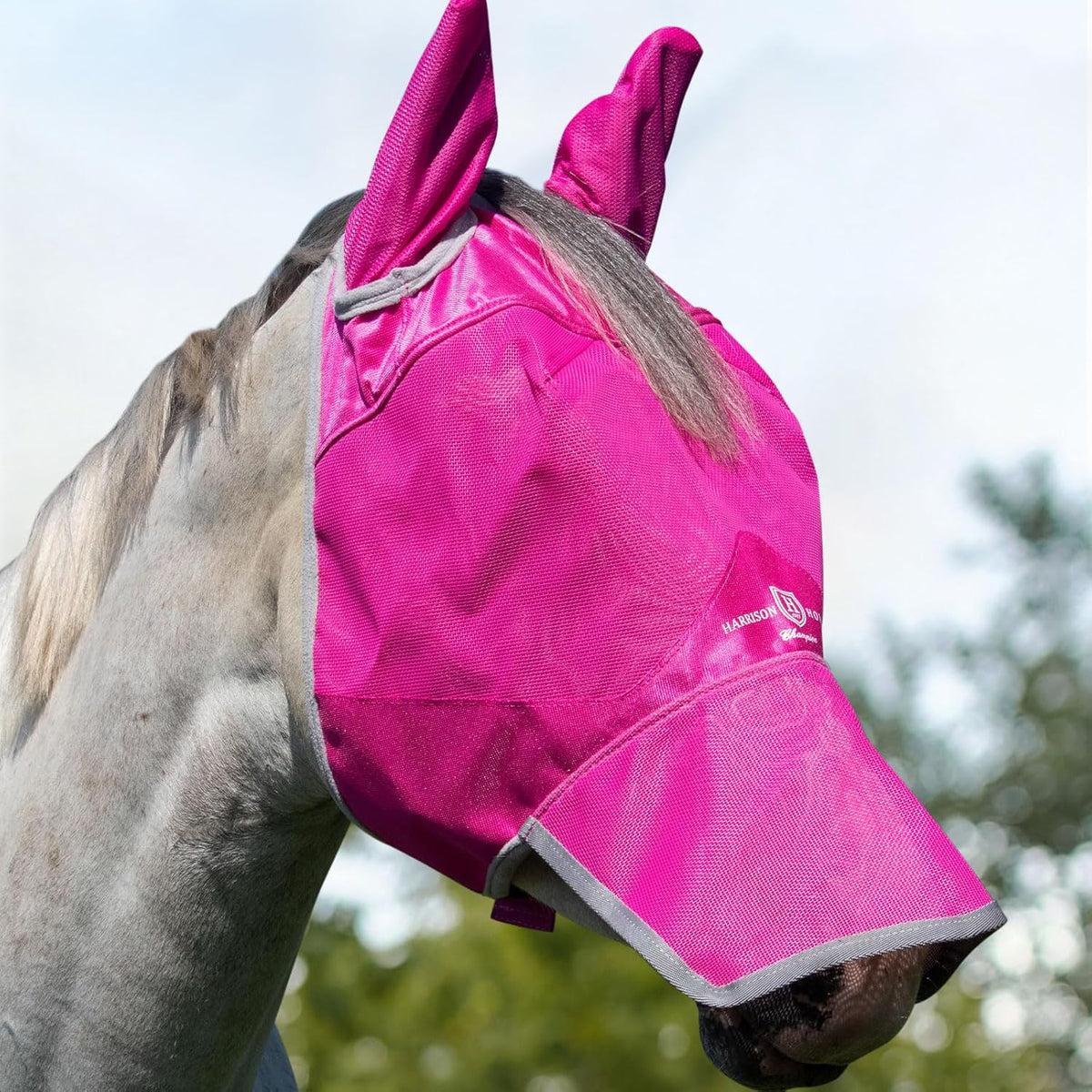 Harrison Howard magenta long nose horse fly mask front view