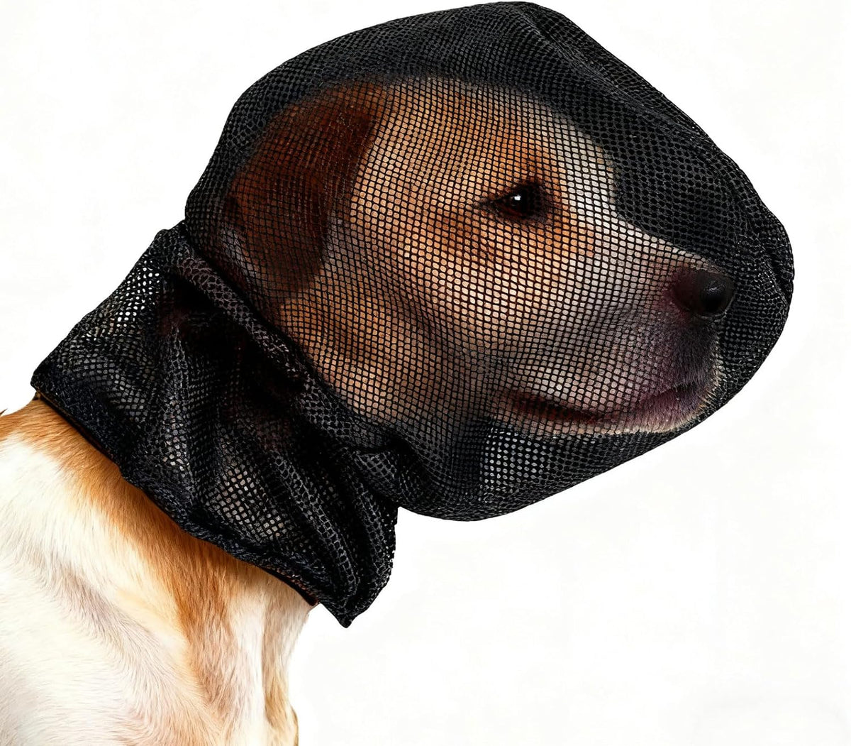 Hikiwin Foxtail Mask Dogs Head Protector Black Medium front view
