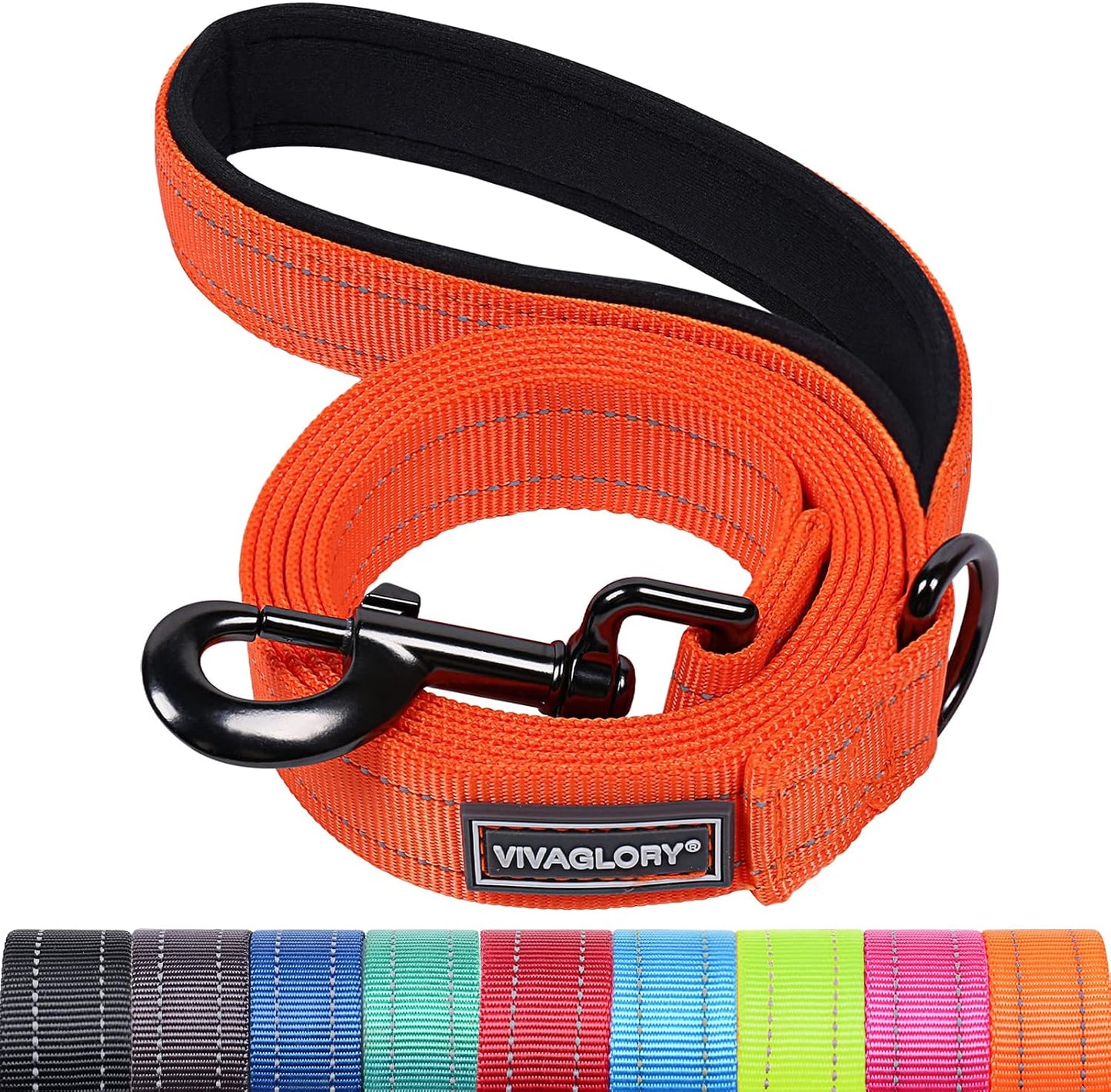 VIVAGLORY Dog Leash Dailyx Pet Leash with Soft Padded Handle for Training & Walking, Heavy Duty & Double Layer Nylon for Pet Puppy Collar, 3ft x 1in, Black - Image 11