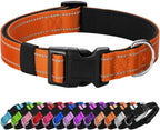 Reflective Dog Collar Padded with Soft Neoprene Breathable Quick Release Basic Dog Collars for Medium Dogs Purple Girl - Image 14