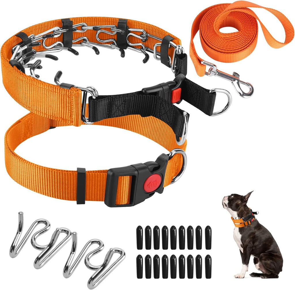 Premium imported dog prong collar with quick release buckle on a flat surface layout.