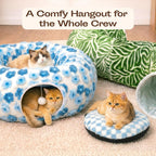 MEOWFIA 2 in 1 donut cat tunnel configured in a circular shape with an indoor kitten peeking out from the side hole
